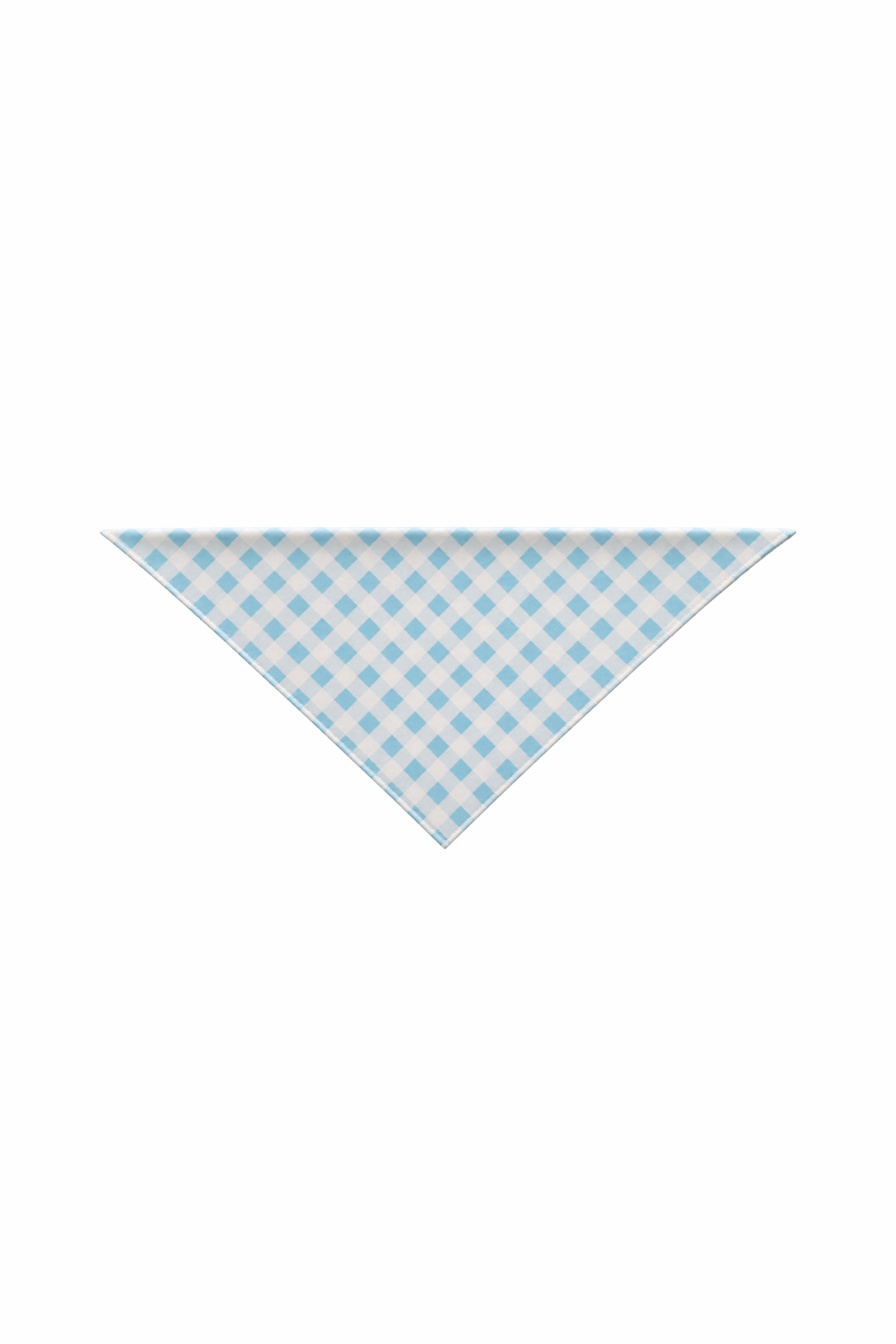 Silk Printed Bandana
