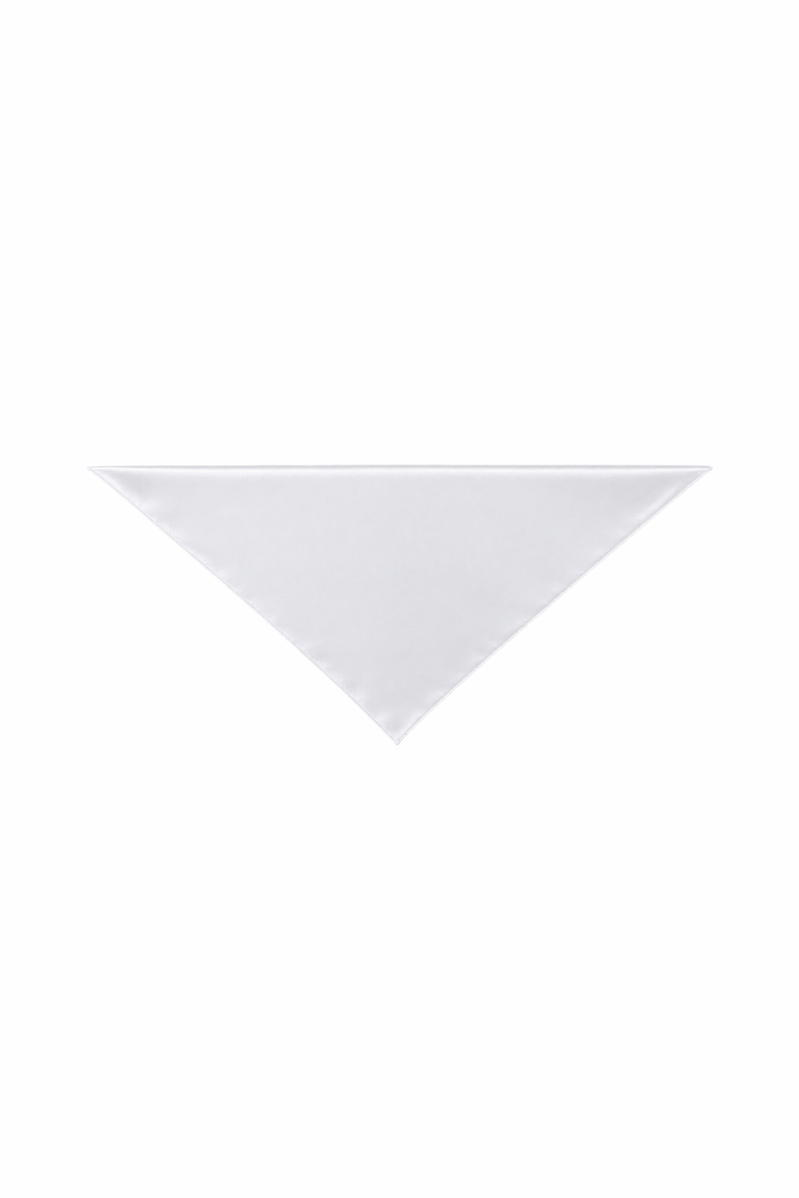 Silk Bandana